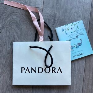 Pandora Shopping Paper Bag and original brochure, Gift Bag